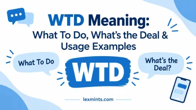 WTD Meaning: What To Do, What’s the Deal & Usage Examples